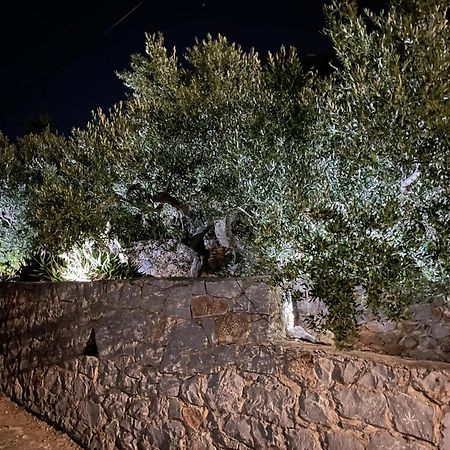 Villa Traditional Tower: Sea View Retreat Areopoli Exterior photo